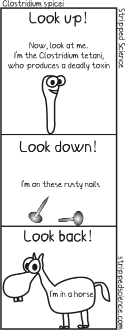 old spice.PNG